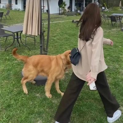 杀手正在召唤