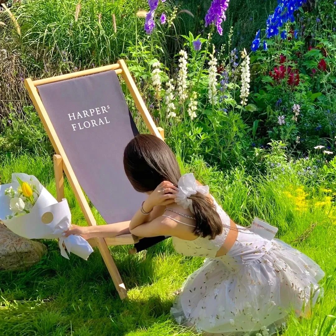 谁说付费才能修仙我的宗门全免费